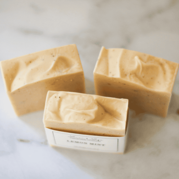 tops of three bars of lemon mint tallow soap bars