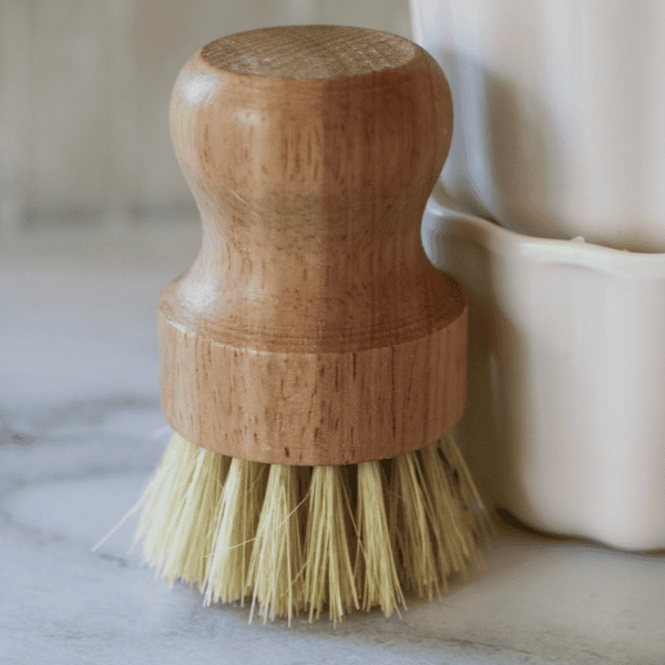 Dish Scrub Brush