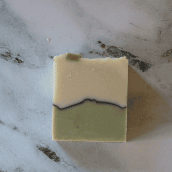 winter pine bar of soap with white top a line of black and green bottom