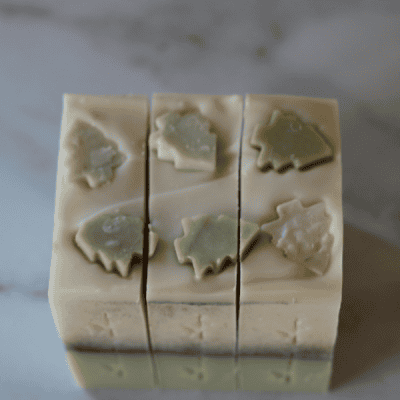 winter pine soap tops of winter pine tallow soap bars